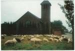 05 Ludgerus Kirche in Nordhorn-Klausheide
