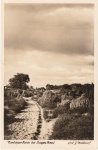 19 Nordlohner Heide bei Lingen (Ems) - Foto G. Moldwurf