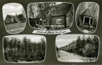 30 Gruß aus Lohne Kr. Lingen - St. Antonius-Kirche, Lebensmittel u. Textilwaren H. Thole, Ehrenmal, Rupingort, Am Mühlenberg
